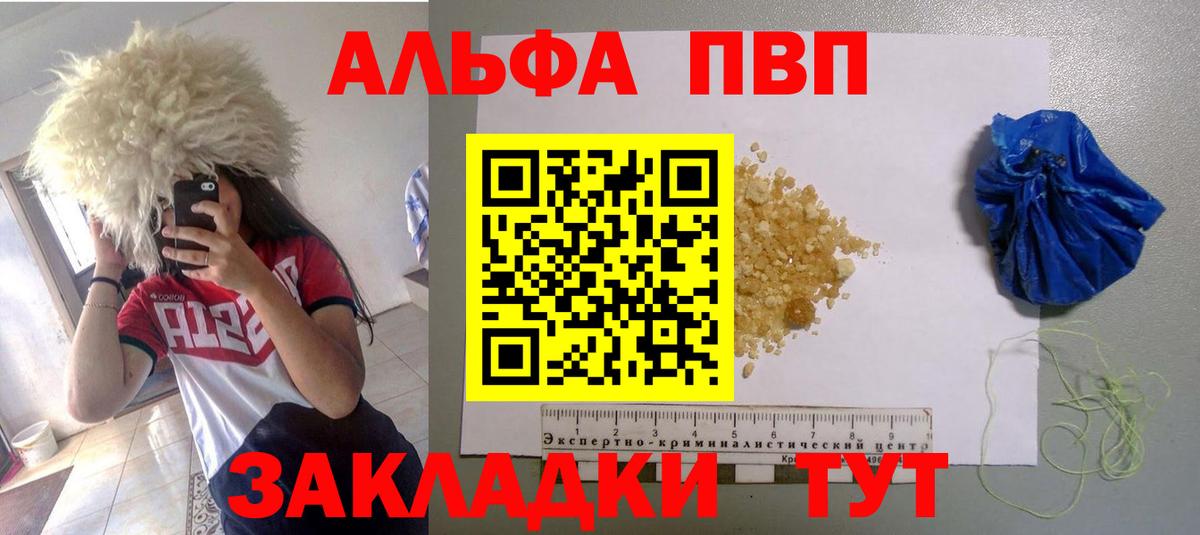 Альфа ПВП СК КРИС Элиста
