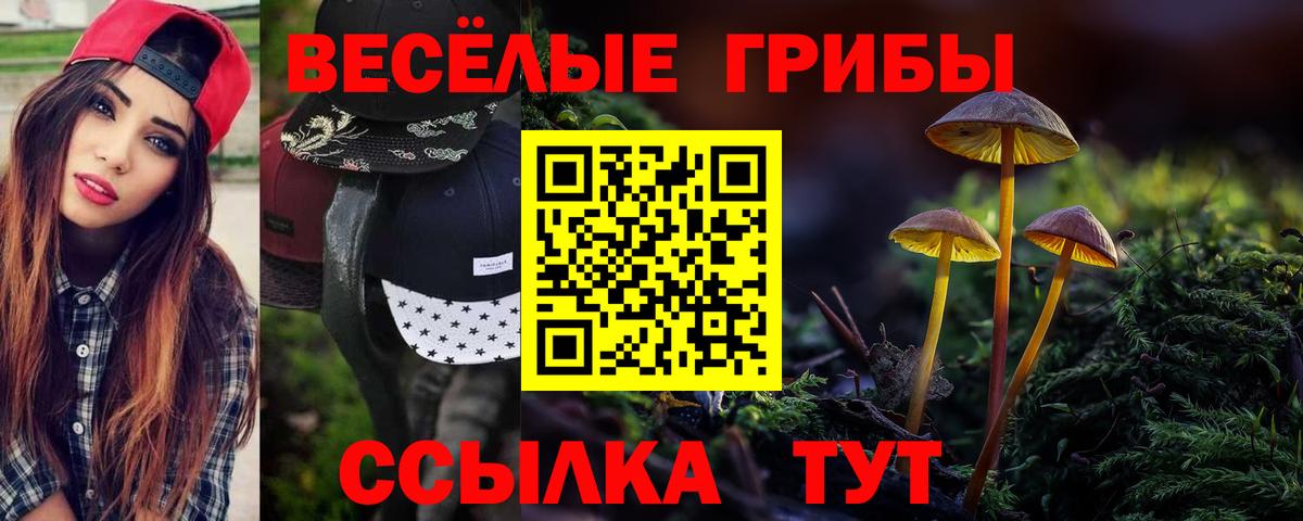 Галлюциногенные грибы прущие грибы Элиста