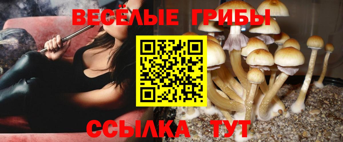 Элиста  Псилоцибиновые грибы прущие грибы  Вход с VPN 